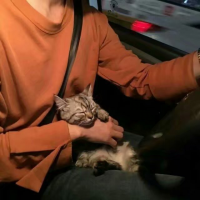  叢夢寒